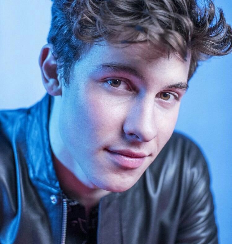 shawn mendes~