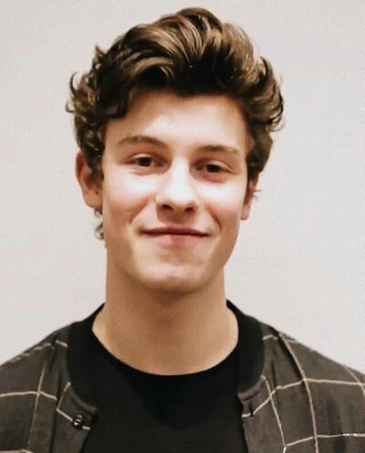 shawn mendes