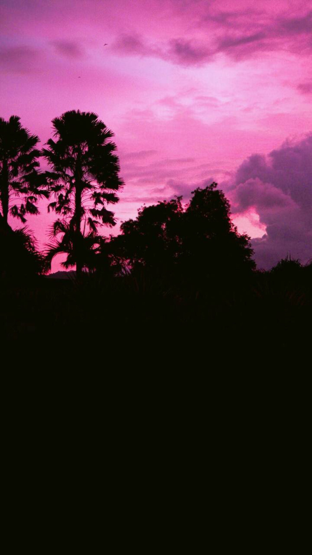 壁纸 天空 风景 紫色 粉色 黑色