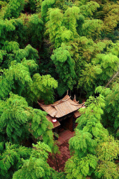 竹林小屋