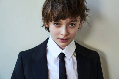 诺亚·施纳普（Noah Schnapp）