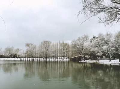 浙大紫金港校区雪景