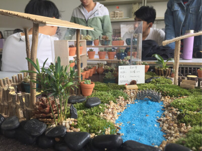 多肉植物园（展示设计模型）