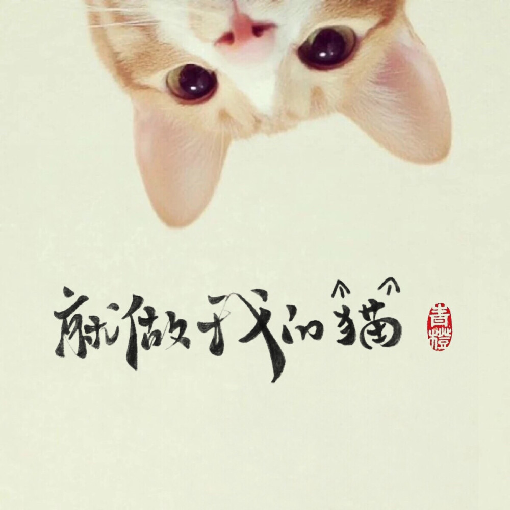 做我的猫