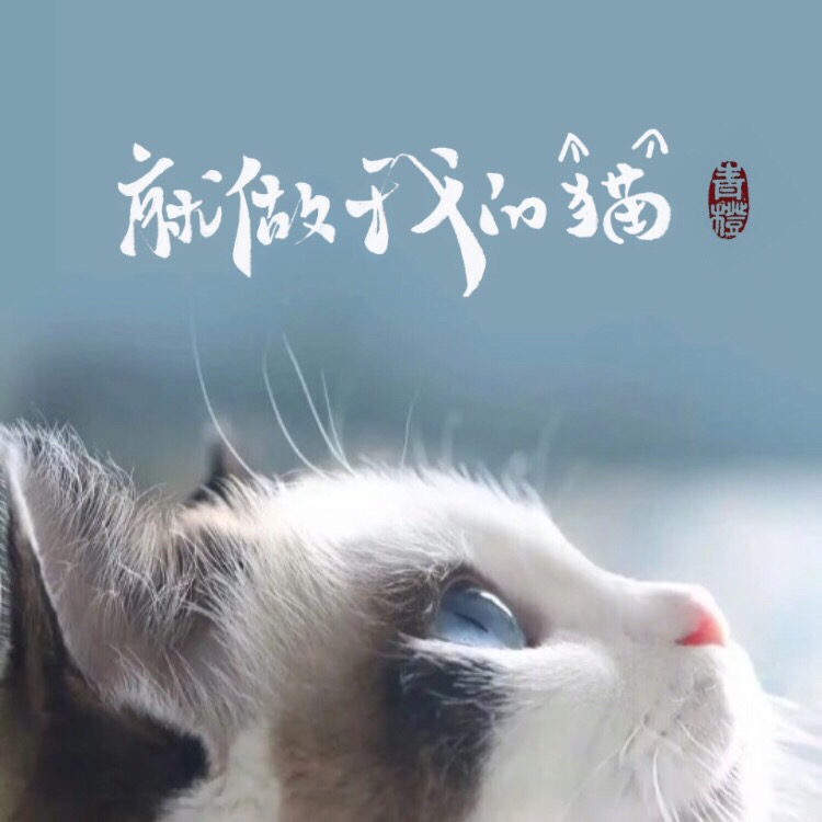 做我的猫