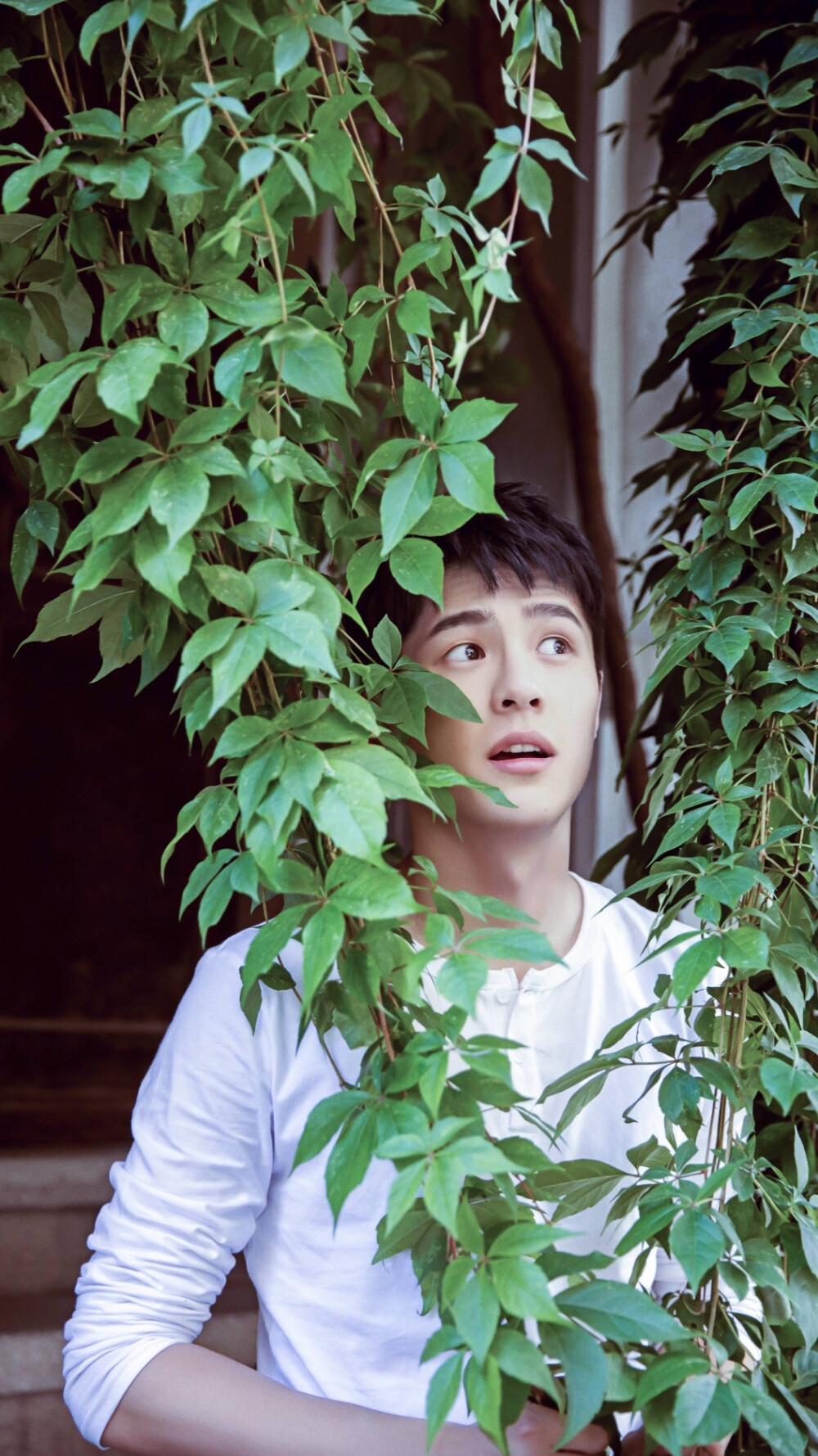 刘昊然 土耳其写真 壁纸