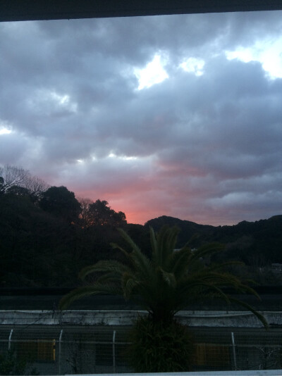 生活让我们遭遇种种困难，就是为了以后遇到困难时不会慌张。