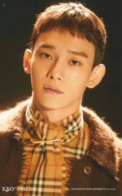 EXO 金钟大 CHEN
cr logo 