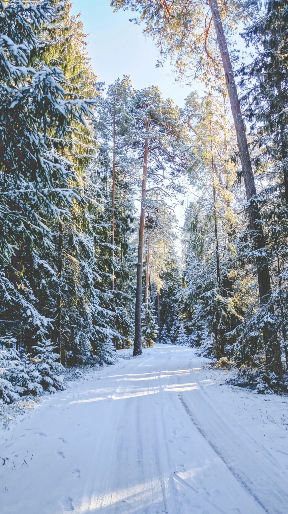 雪景壁纸 唯美 净化心灵