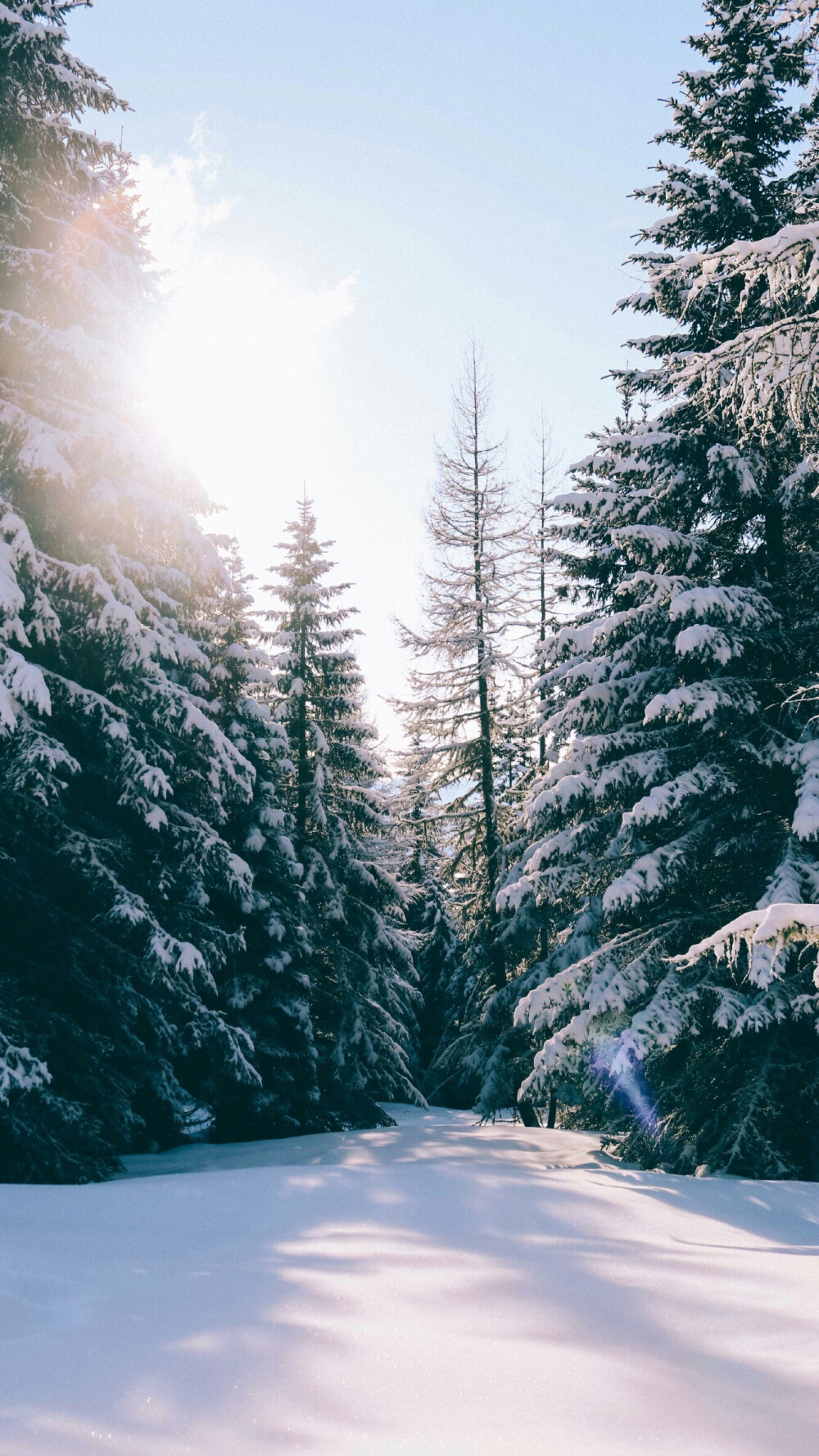 雪景壁纸 唯美 净化心灵