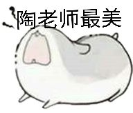 @我是一头大黄鱼，怎么样