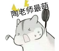 @我是一头大黄鱼，怎么样