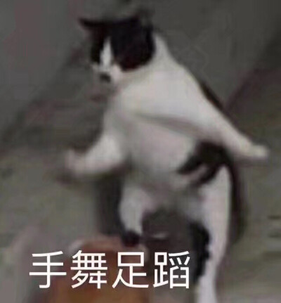 表情包