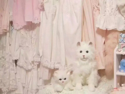 壁纸，暖，少女系，原宿