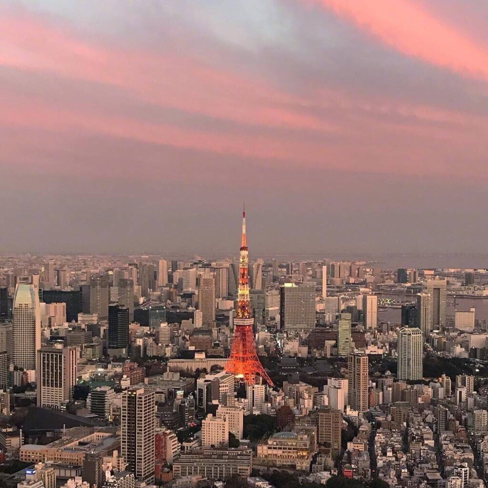 风景 浪漫 粉色