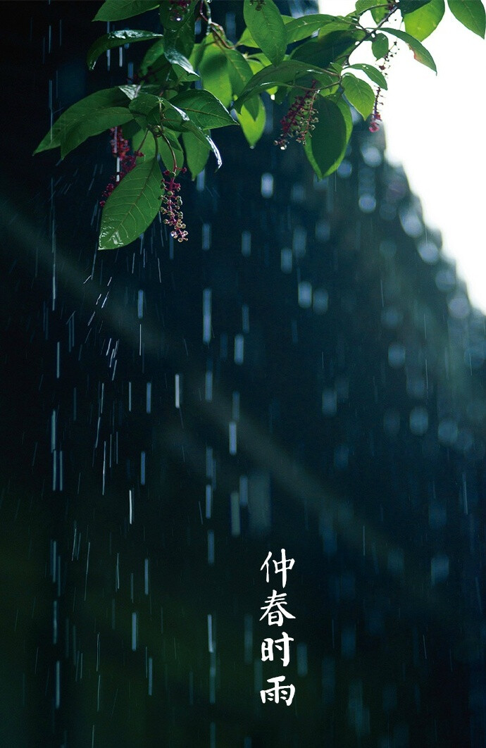 【中国节气：惊蛰】雷发东隅，潜蛰惊出。仲春时雨，翩燕始归，农家新梨。桃紅梨白，袅柳丝摇。小窗朝爽，焚香品茗。《月令七十二候集解》中说：二月节，万物出乎震，震为雷，故曰惊蛰。是蛰虫惊而出走矣。