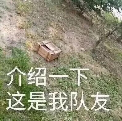 落地成盒