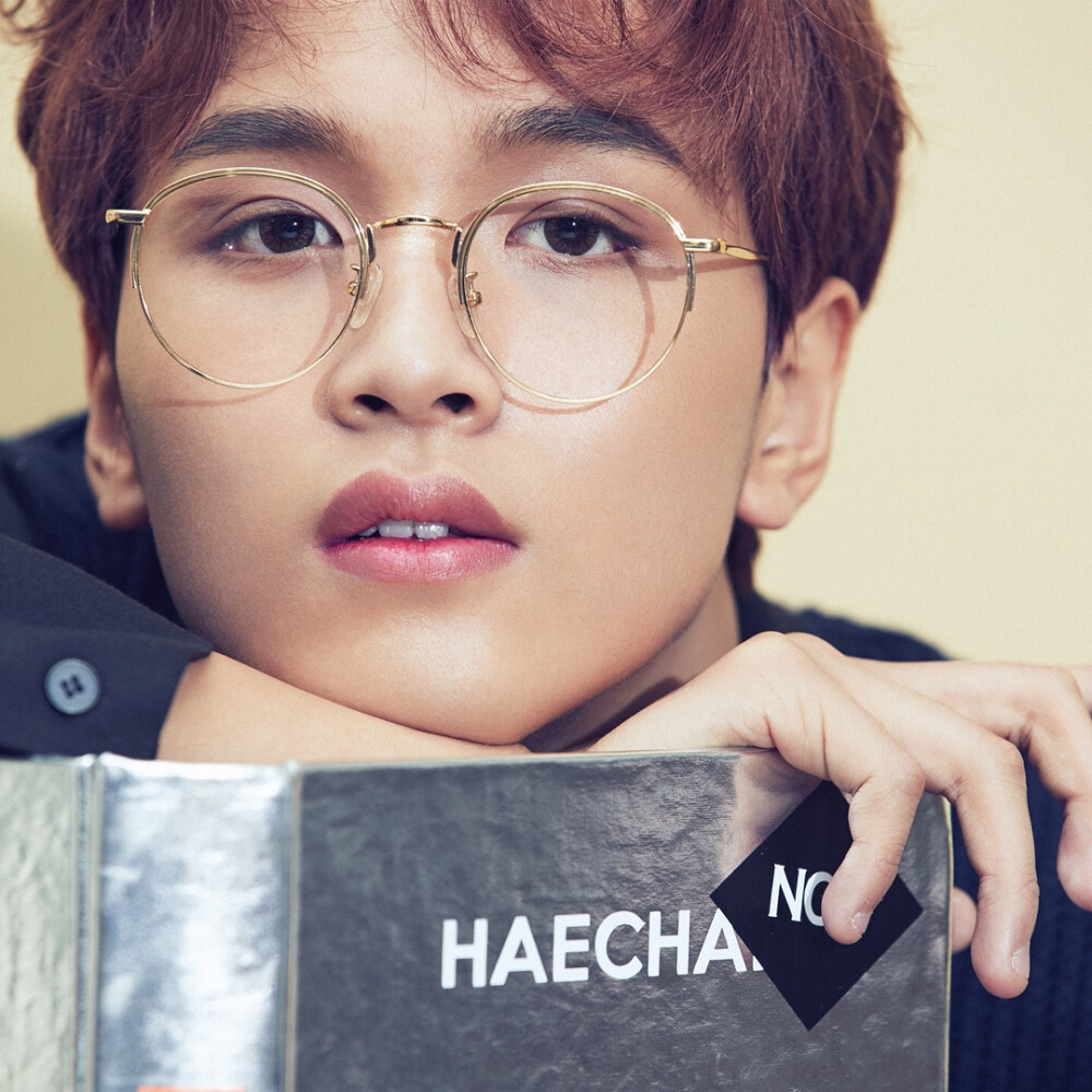 NCT 2018 Yearbook 李东赫 楷灿 haechan