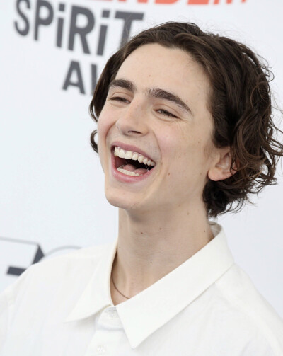 甜茶 Timothée Chalamet