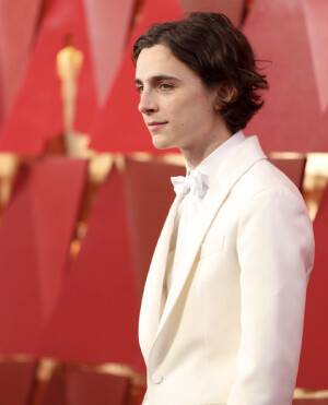 甜茶 Timothée Chalamet
2018奥斯卡颁奖典礼 
加利福尼亚，美国