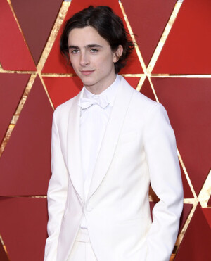 甜茶 Timothée Chalamet
2018奥斯卡颁奖典礼 
加利福尼亚，美国