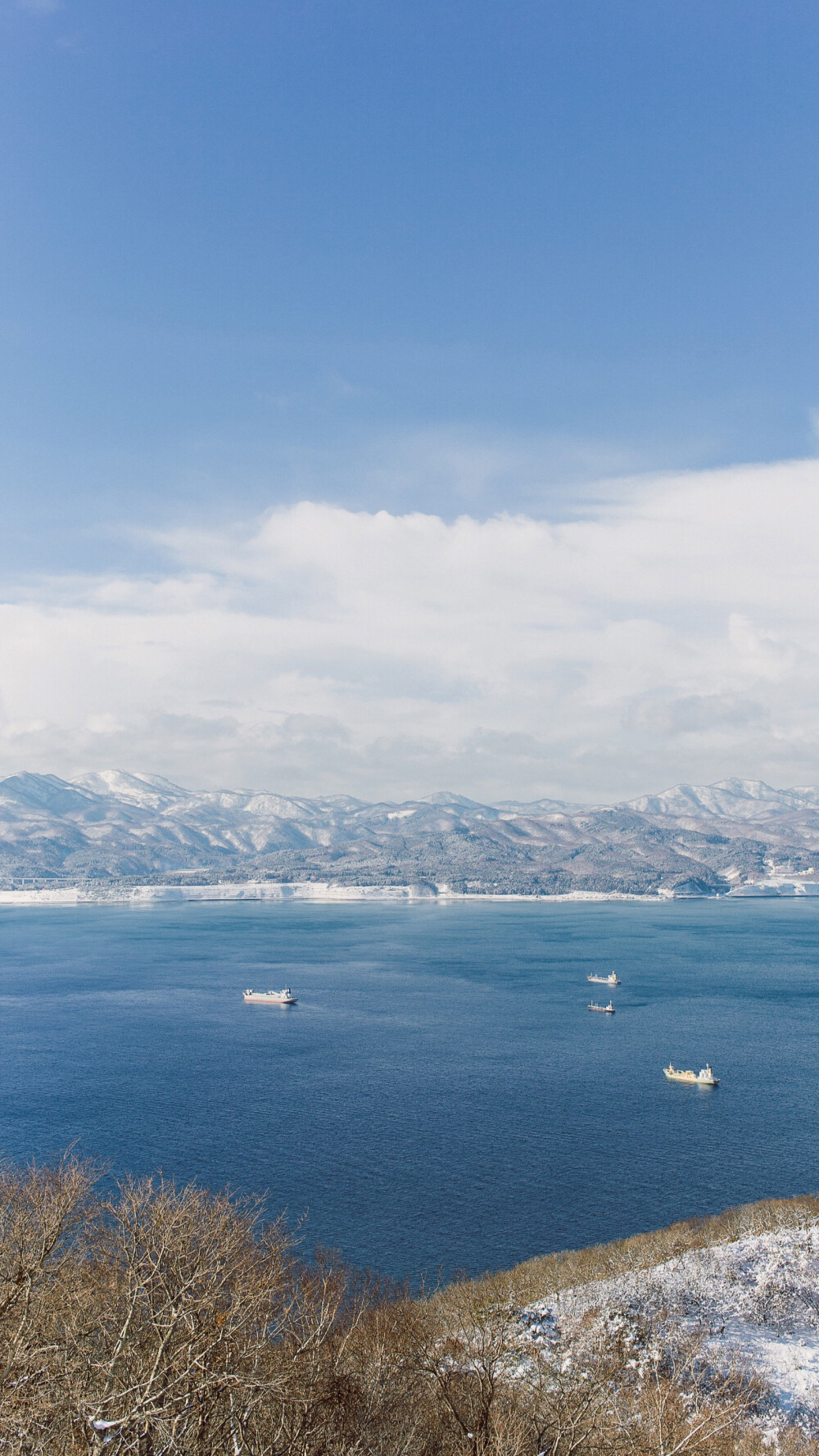 北海道 雪景 高清 壁纸