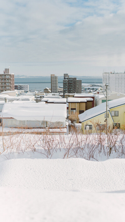 北海道 雪景 高清 壁纸