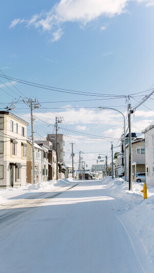 北海道 雪景 高清 壁纸