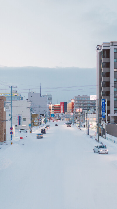 北海道 雪景 高清 壁纸