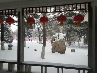 长春的大雪......