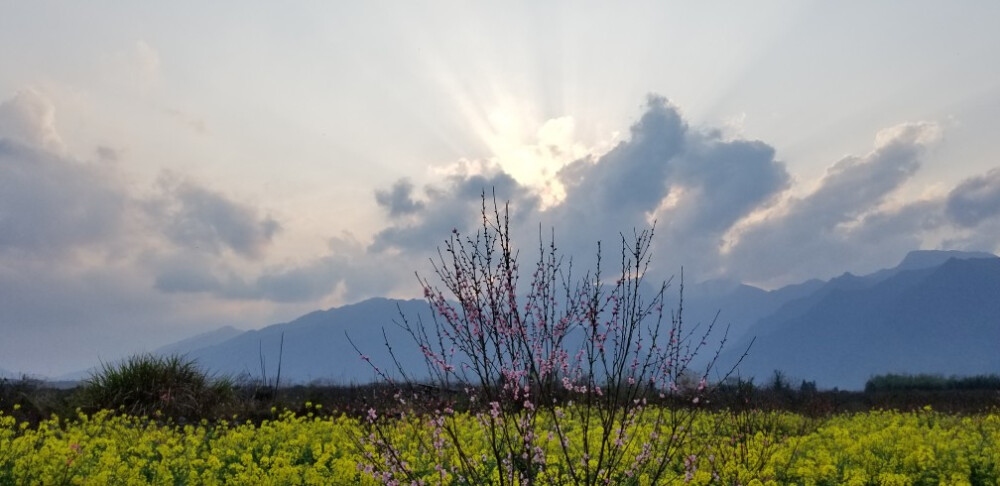 夕阳无限好