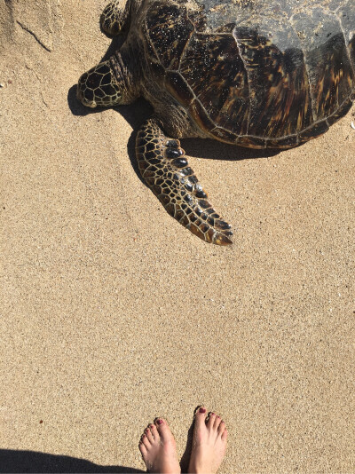 夏威夷