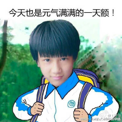 tf家族 表情包