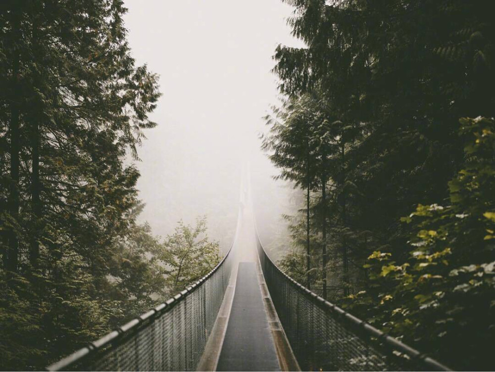 は蛋｜温哥华吊桥公园