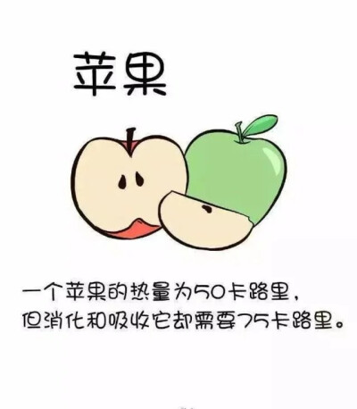 九种越吃越瘦的食物
