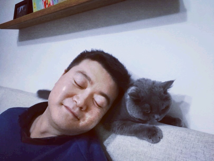 一脸不情愿的猫型枕