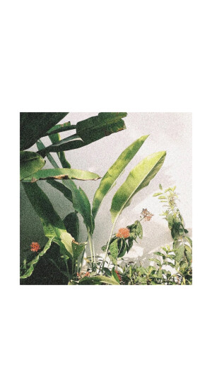 ✧⁺⸜(●˙▾˙●)⸝⁺✧

              壁纸平铺锁屏素材~