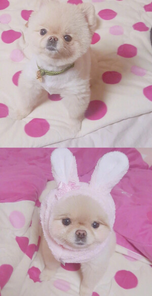✧⁺⸜(●˙▾˙●)⸝⁺✧

              壁纸平铺锁屏素材~