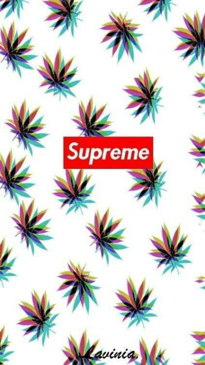 Pidan｜Supreme