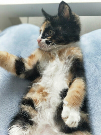 你陪我慢慢长大
我陪你慢慢变老
我们都在时间里成长;