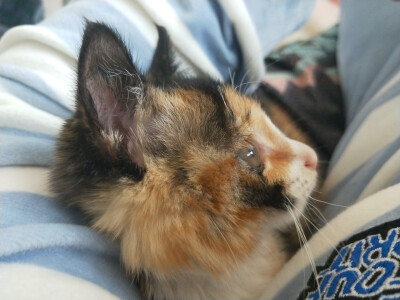 你陪我慢慢长大
我陪你慢慢变老
我们都在时间里成长;