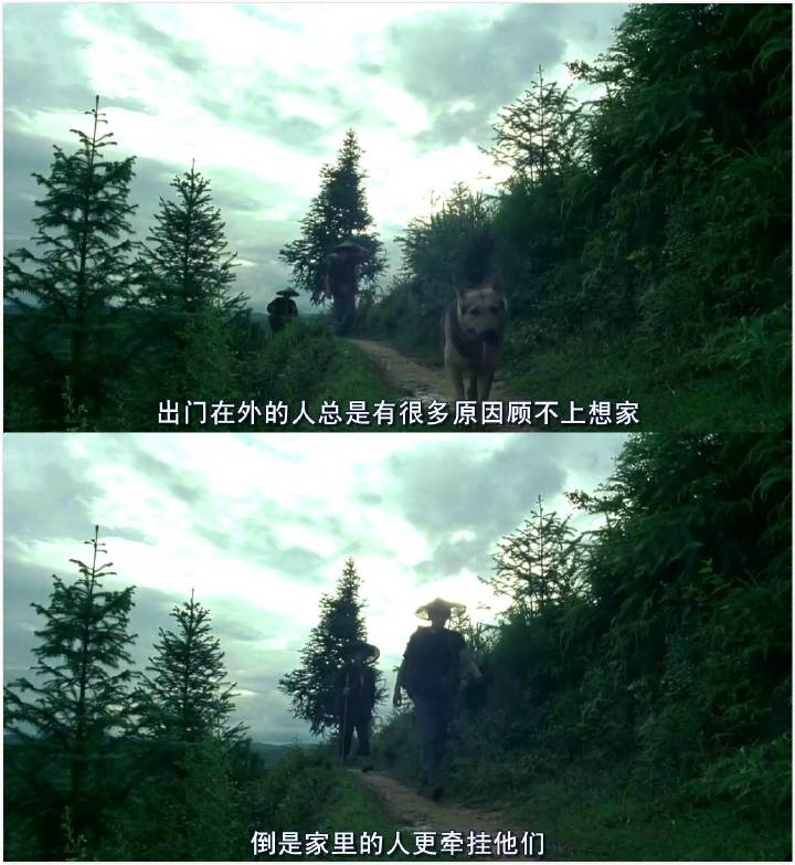 电影语录《那山那人那狗》