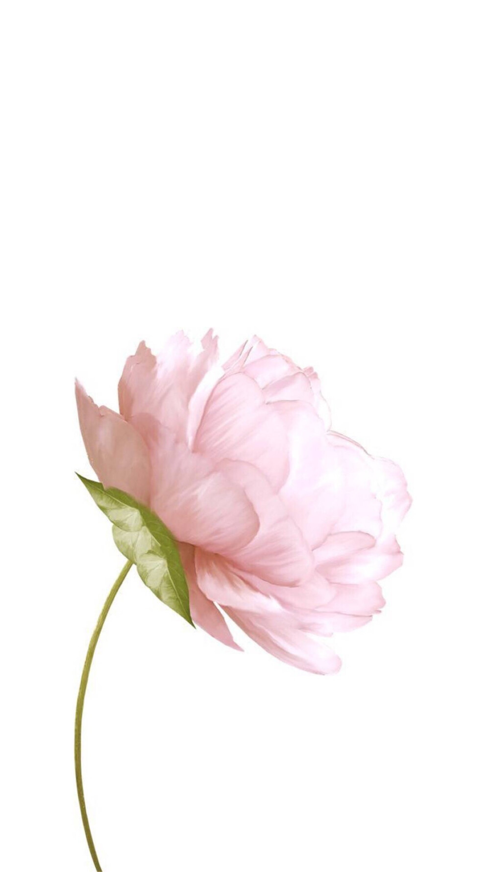 花美图