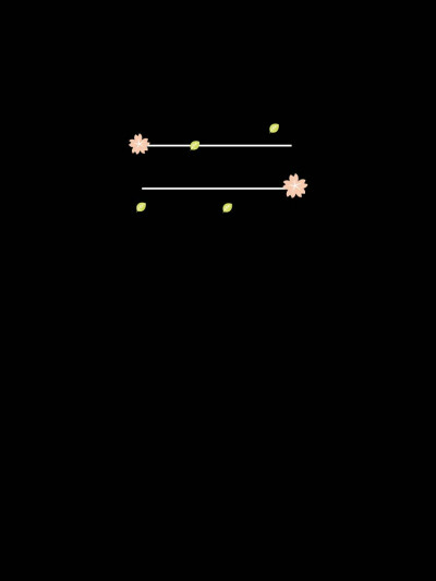 自定义素材/作图素材/素材/picsart素材（拿图请点赞收藏）