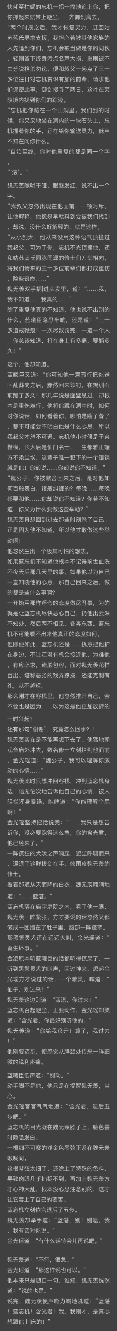 魔道祖师 蓝忘机 魏无羡 夷陵老祖 江澄