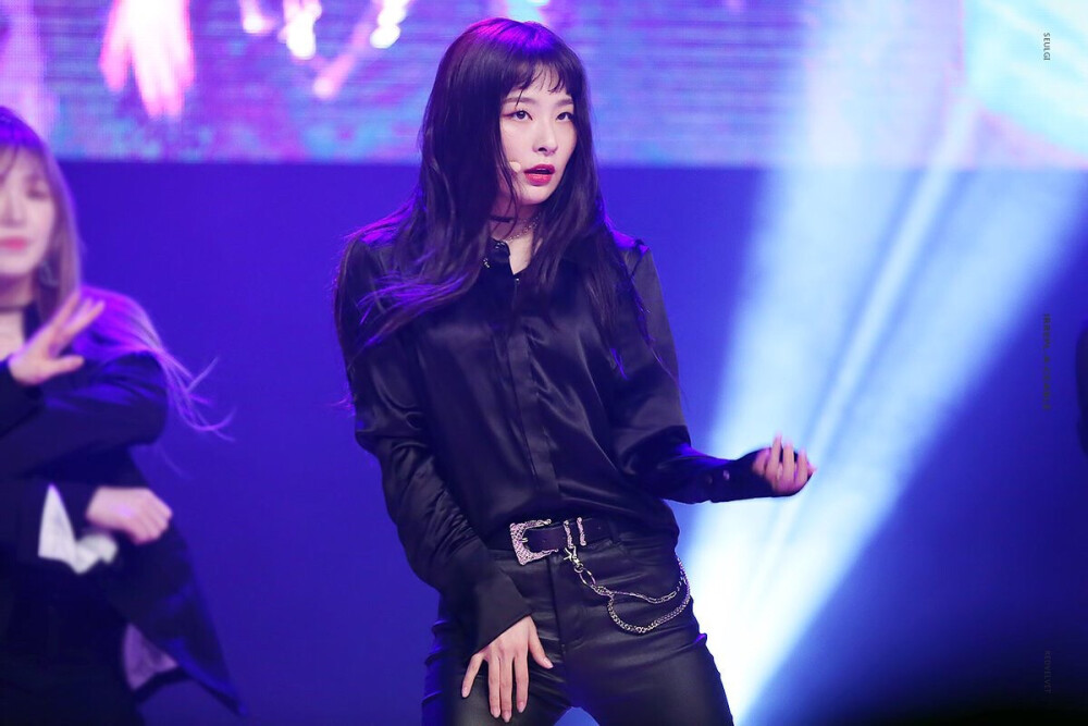 Red Velvet 姜涩琪 Seulgi
cr logo 