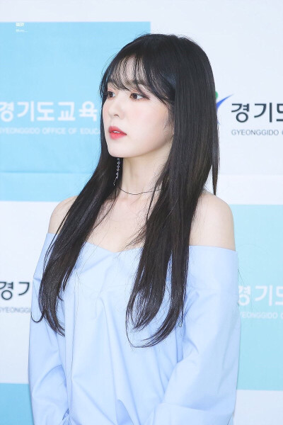 Red Velvet 裴珠泫Irene裴柱现
cr logo 