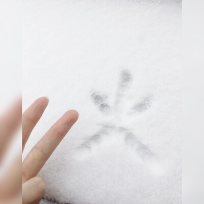 雪 火 手写