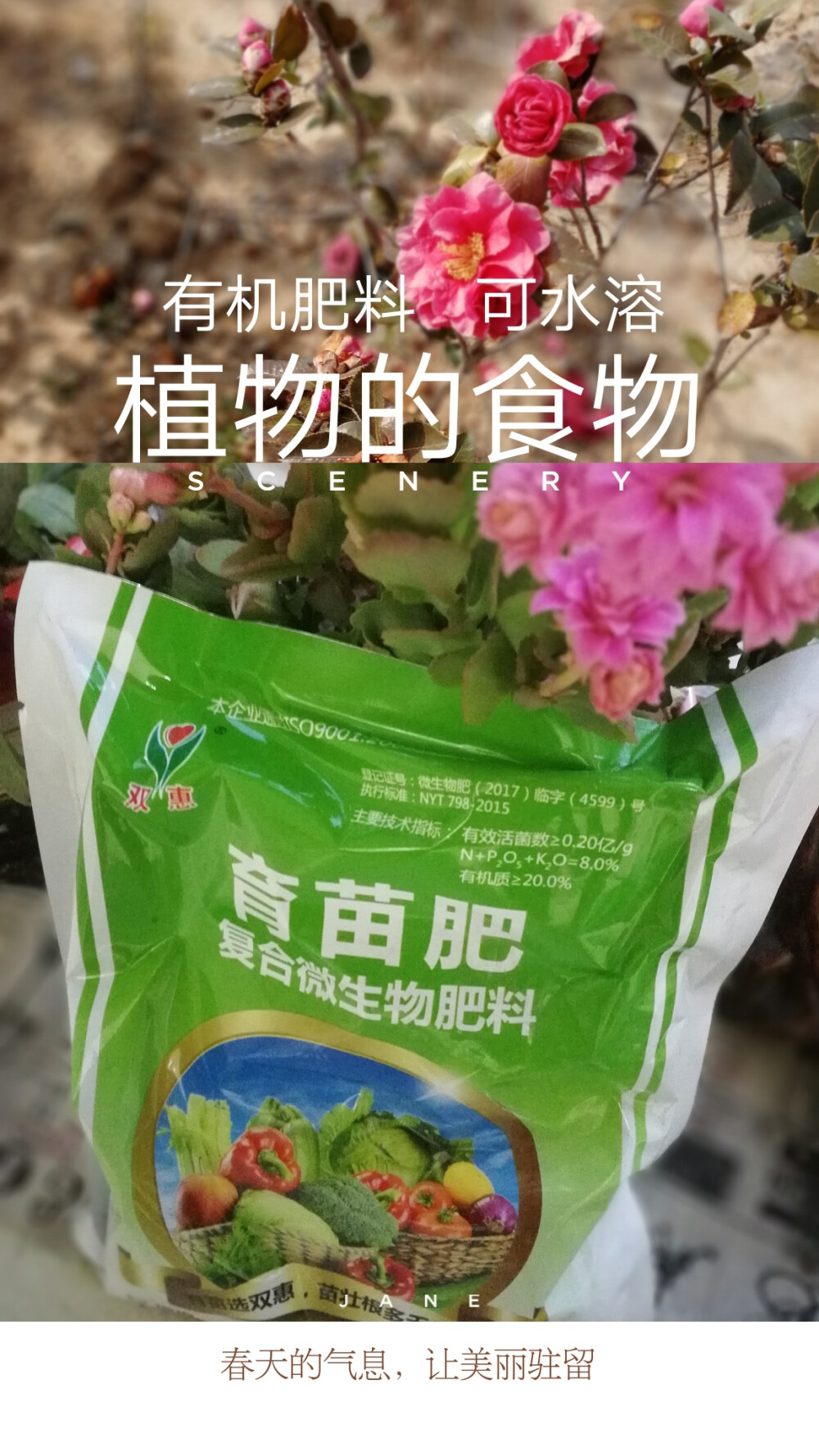 植物带来得美好，插花，植物的园地～
欢迎环境～