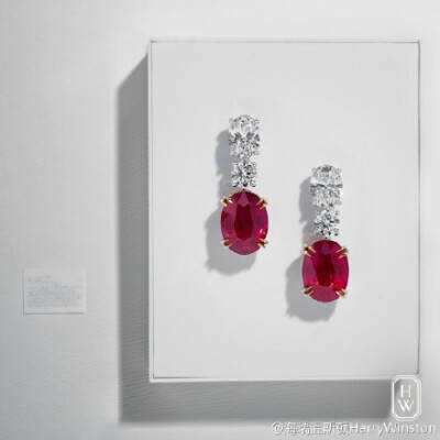 海瑞温斯顿（Harry Winston）红宝石钻石耳环，名副其实的艺术杰作